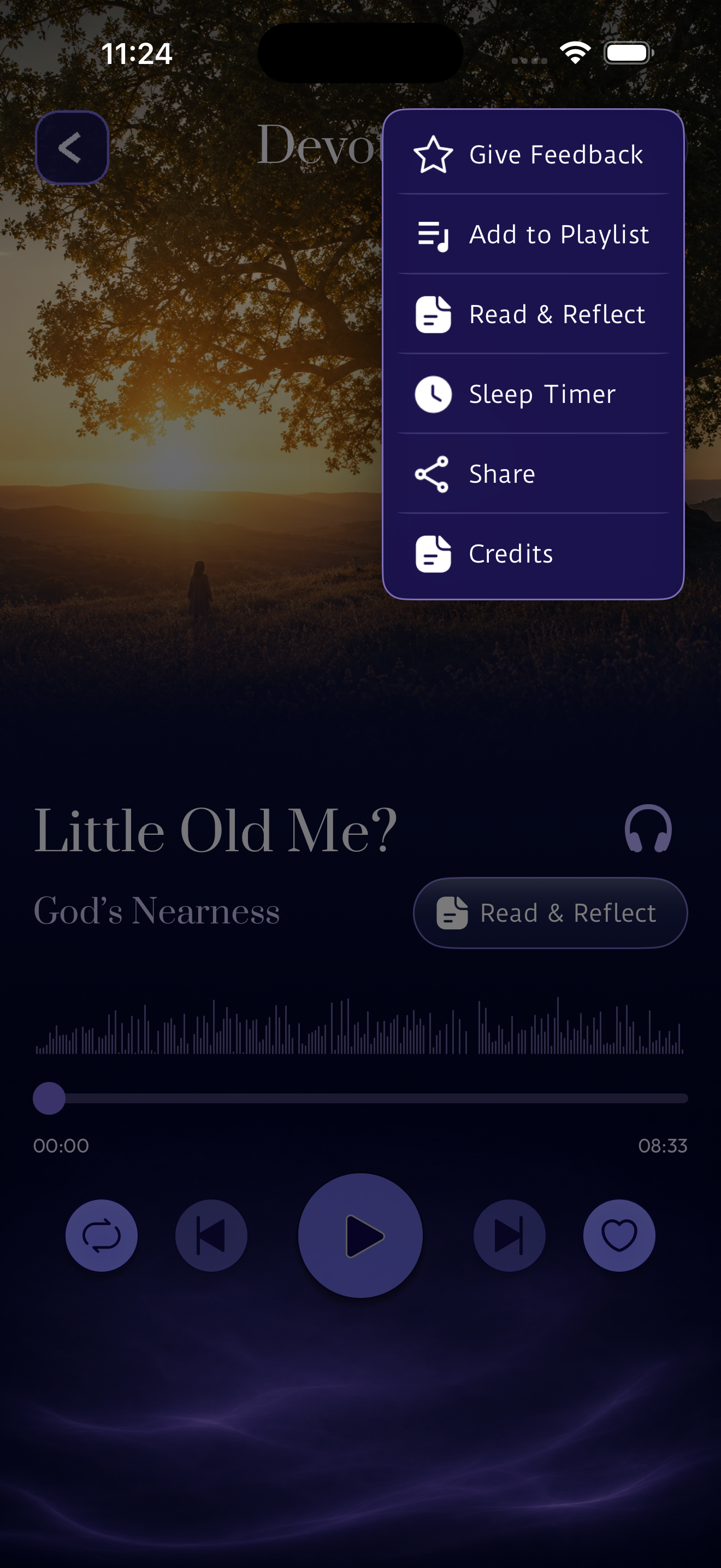 Player More Menu